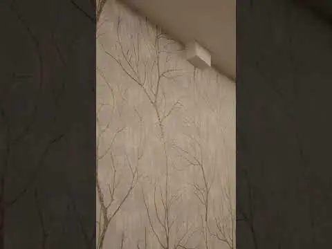 Prévia do vídeo: Papel de Parede - Vídeo 4