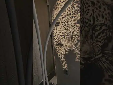 Prévia do vídeo: Papel de Parede - Vídeo 6